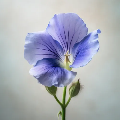 Blue Me Away™ - Image 4